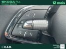 Annonce Skoda Karoq 2.0 TDI 116 ch SCR DSG7 Business