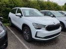 Annonce Skoda Kodiaq 2.0 TDI 150 ch SCR DSG7 7pl Selection