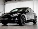 Annonce Tesla Model Y Dual Motor Performance Panodak 360° ACC Camera