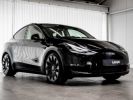 Annonce Tesla Model Y Dual Motor Performance Panodak 360° ACC Camera