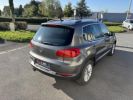 Annonce Volkswagen Tiguan 2.0 TDI 110cv Cup - Garantie 12 mois