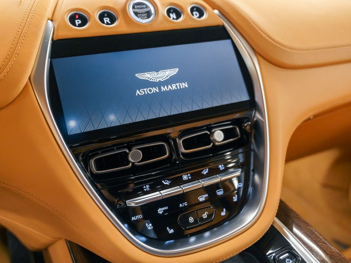 Aston Martin DBX V8 - photo 40