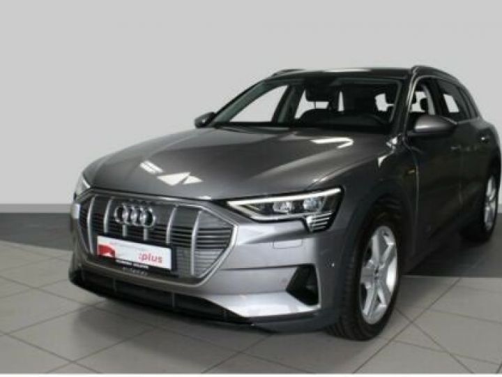 Audi E-tron 50 Quattro / 1er main / GPS / Bluetooth / Phare LED / Siège chauffants / Garantie 12 mois  Gris métallisée  - 1