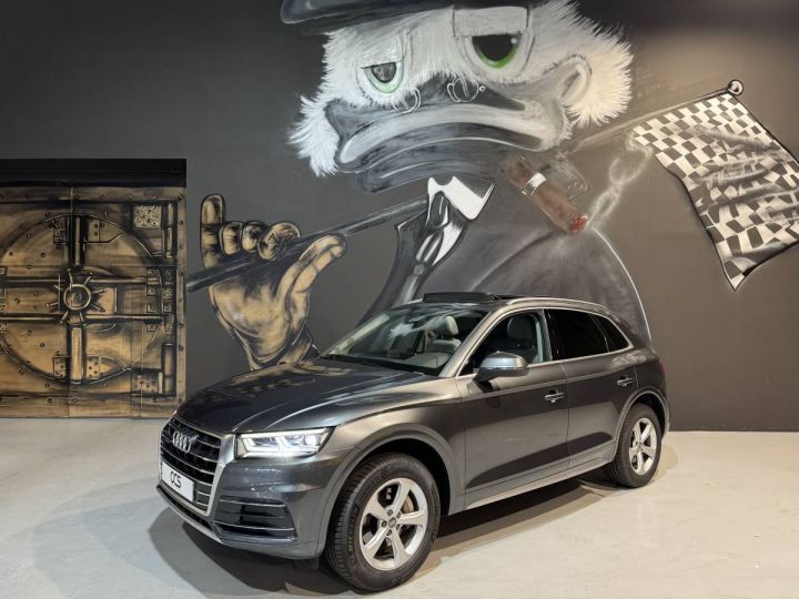 Audi Q5 2.0 TFSI 252 GRIS DAYTONA + TOIT OUVRANT Gris Clair - 1