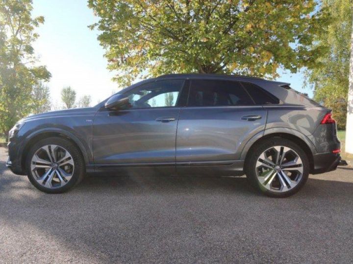 Audi Q8 50 TDI 286 S LINE QUATTRO TIPTRONIC      Diesel GRIS DAYTONA - 9