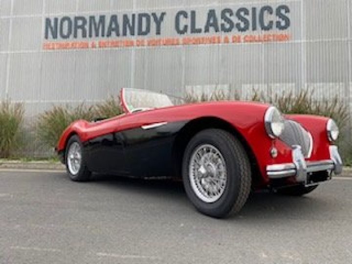 Austin Healey 100 -4 BN2  - 5