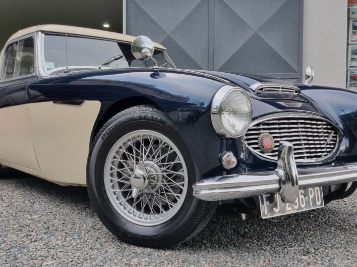 Austin Healey 3000 Bn7 Hard-top  - 1