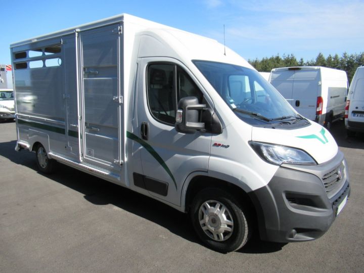 Chassis + body Fiat Ducato Livestock body HDI 140 BETAILLERE ALUMINIUM (LONGUEUR 3)  - 2