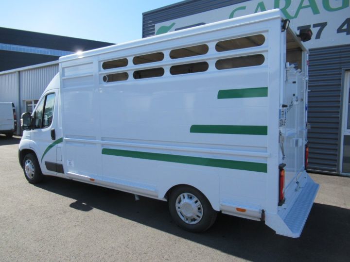 Chassis + body Fiat Ducato Livestock body HDI 140 BETAILLERE ALUMINIUM (LONGUEUR 3)  - 3