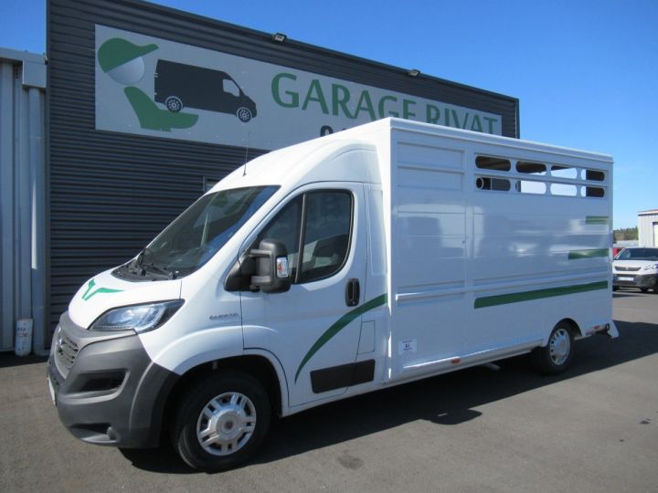 Chasis + carrocería Fiat Ducato Transporte de ganado HDI 140 BETAILLERE ALUMINIUM (LONGUEUR 3)  - 1