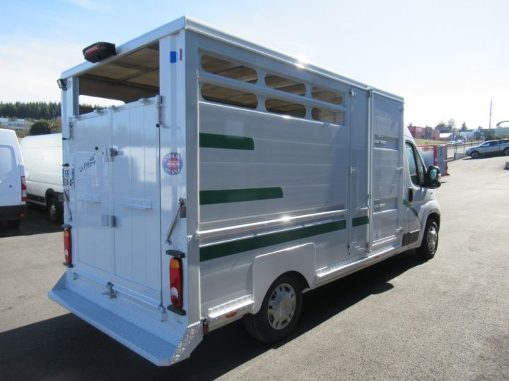 Chasis + carrocería Fiat Ducato Transporte de ganado HDI 140 BETAILLERE ALUMINIUM (LONGUEUR 3)  - 4