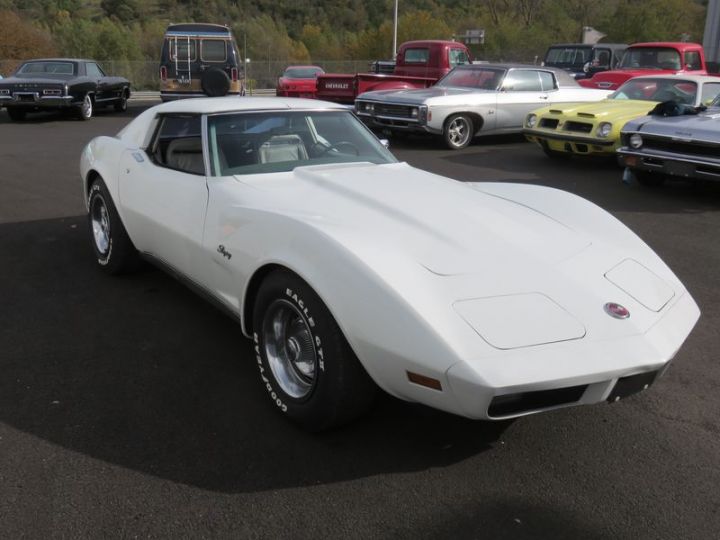 Chevrolet Corvette C3 V8 350CI L48 Blanc - 8