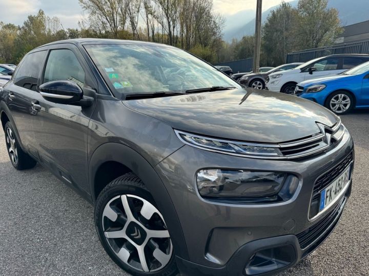 Citroen C4 Cactus BLUEHDI 100CH S&S SHINE BUSINESS E6.D-TEMP Gris F - 6