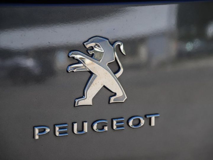 Commercial car Peugeot Expert Other TRAVELLER Long 2.0 BlueHDi 150 COMBI 9 PLACES GRIS FONCE - 31