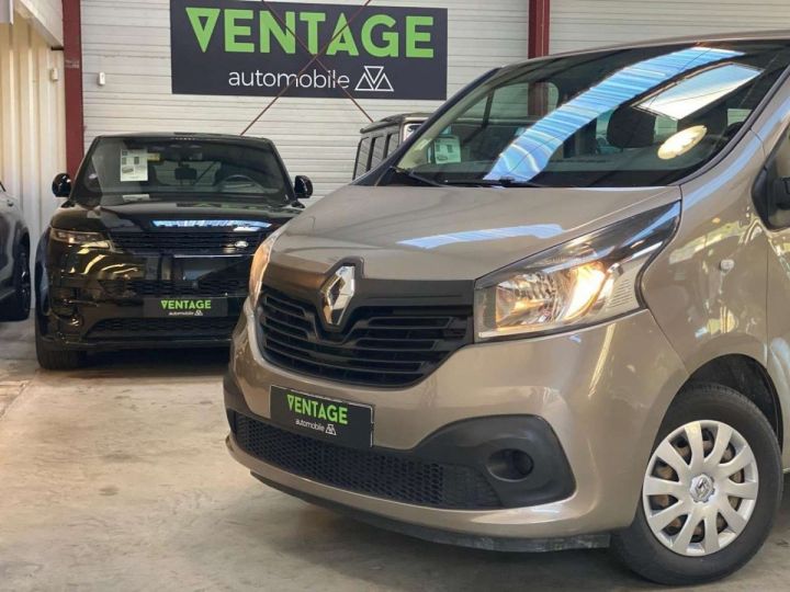 Commercial car Renault Trafic Other Combi L2 dCi 125 Energy Life Gris - 14