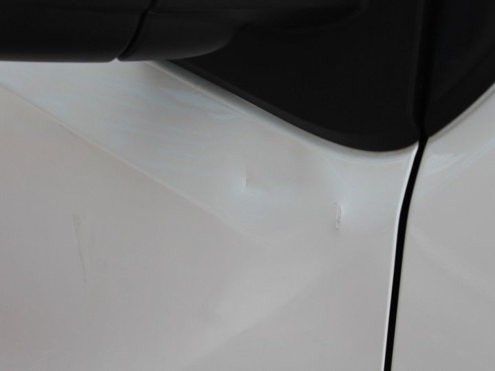 Commercial car Renault Trafic Steel panel van III FOURGON TOLE CONFORT L1H1 1300 DCI 95 Blanc Laqué - 30