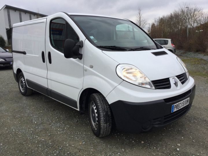 Commercial car Renault Trafic Steel panel van L1H1 Blanc - 6