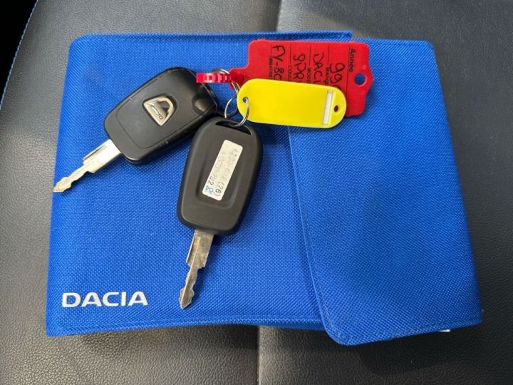Dacia Spring BUSINESS 2020 - ACHAT INTEGRAL Gris C - 6