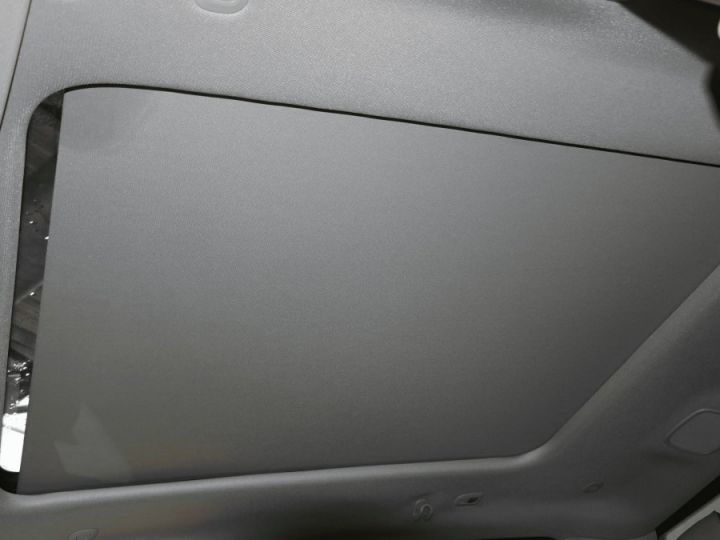 Dodge Ram LONGHORN CREW CAB ALP + Grand écran PAS D'ECOTAXE/PAS DE TVS/TVA RECUPERABLE Acier intense Vendu - 14