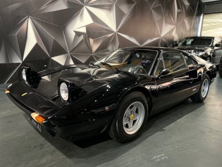 Ferrari 308 GTB Noir - 13