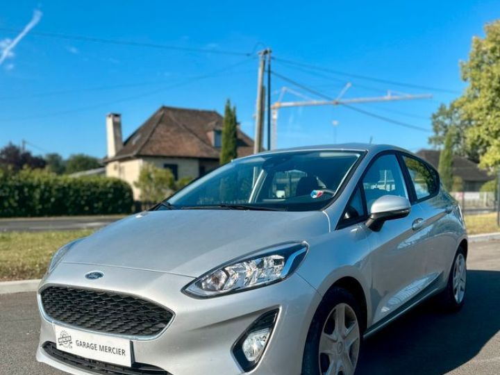 Ford Fiesta VII 5 portes 1.0 EcoBoost 95ch Gris - 1