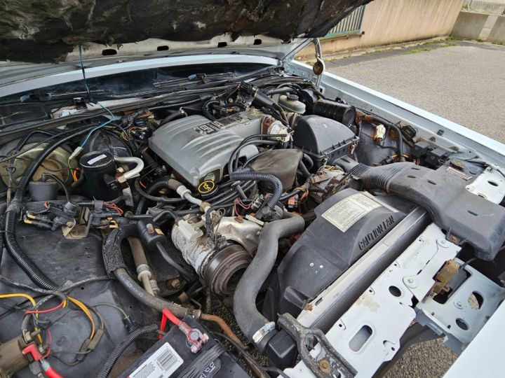 Ford LTD LX V8 5.0L Fi Crown Victoria Blanc - 29