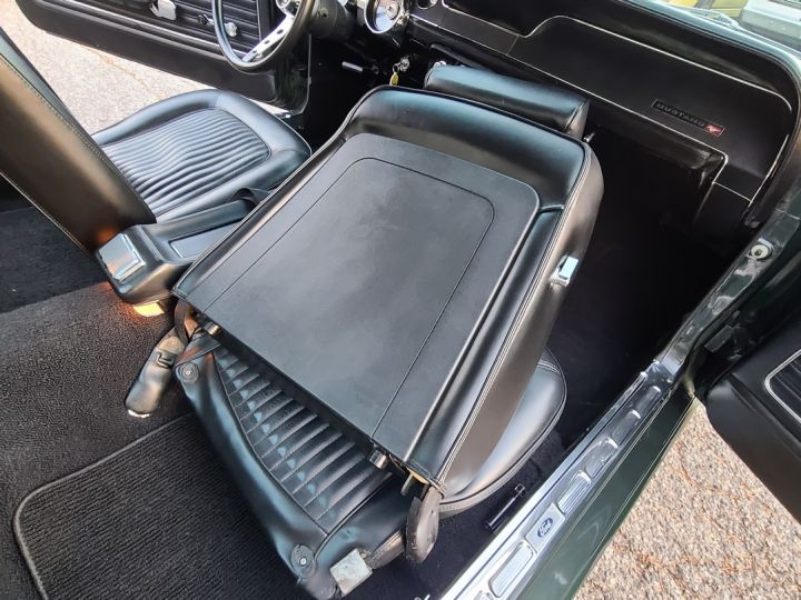 Ford Mustang FASTBACK Bullit Tribute, V8 302  - 24
