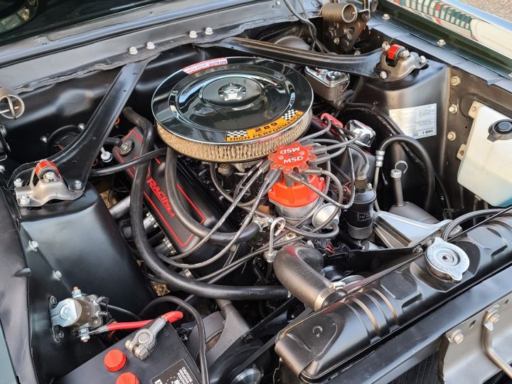 Ford Mustang FASTBACK Bullit Tribute, V8 302  - 26