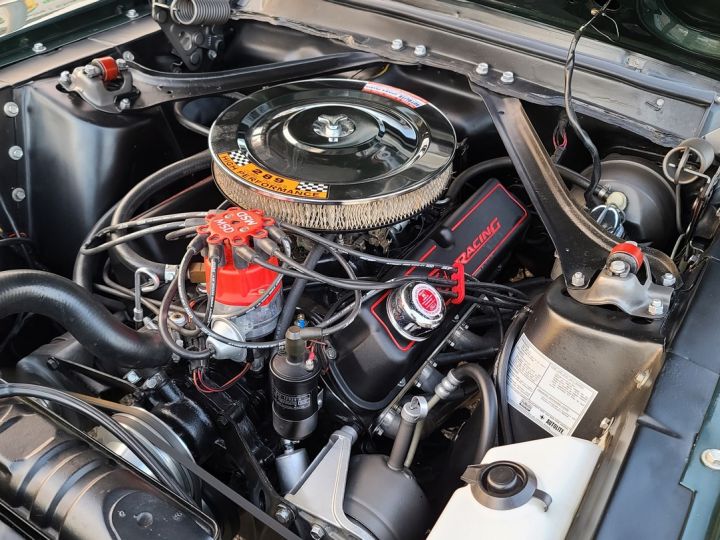 Ford Mustang FASTBACK Bullit Tribute, V8 302  - 27