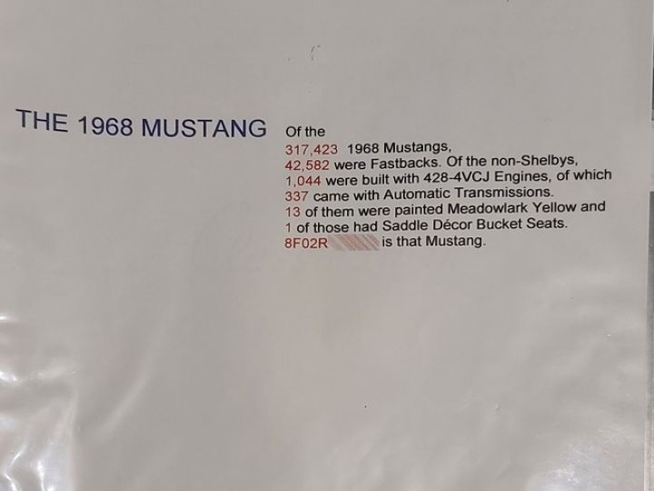 Ford Mustang Fastback GT 428 Cobra Jet Ram Air Meadowlark Yellow - 98