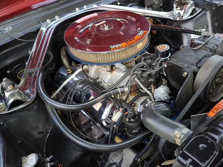 Ford Mustang V8 289 Pack GT, Luxury, Superbe état Bordeaux - 25