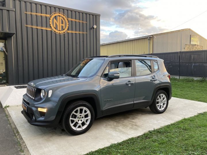 Jeep Renegade JEEP RENEGADE 1.6 MJT 120 CH BUSINESS LONGITUDE GRIS PASTEL VERNI  - 5