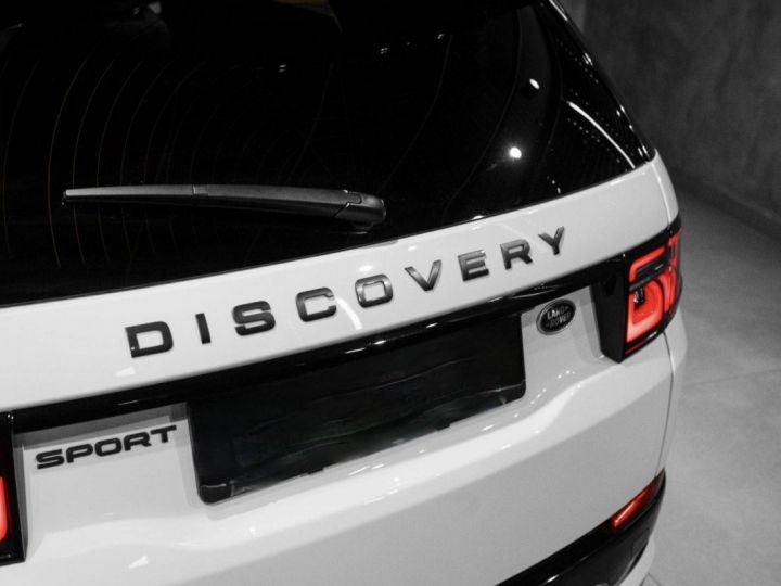 Land Rover Discovery Sport P250 R-Dynamic S AWD*Meridian*J'20 Blanc - 8