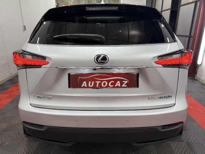 Lexus NX 300h 4WD Executive E-CVT +CAMERA 360°+TOIT OUVRANT Gris Clair - 7