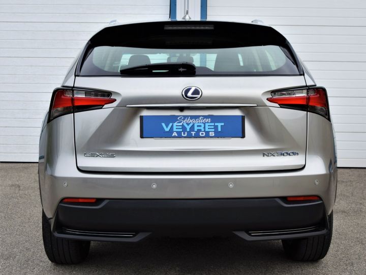 Lexus NX NX300H AWD PACK Gris - 4