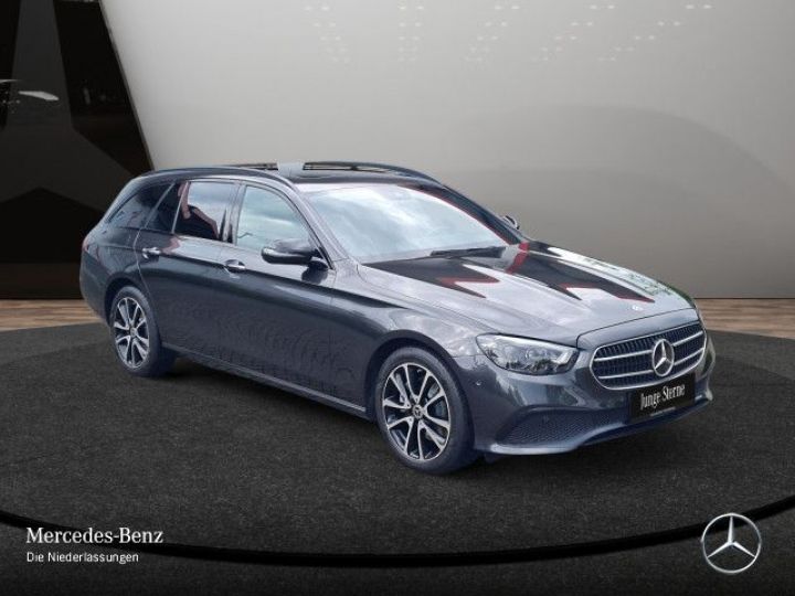 Mercedes Classe E 220 D 4M T 194Ch Avantgarde +SD + AHK + RFK + Garantie Gris Métallisé - 15