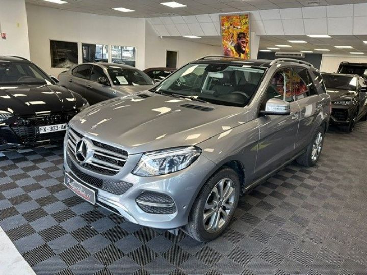 Mercedes GLE 250d 4-Matic 9G-Tronic Executive Toit Ouvrant Led Xenon Gris - 1