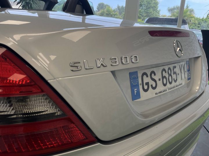 Mercedes SLK II (R171) 280 7GTro GRIS CLAIR - 19