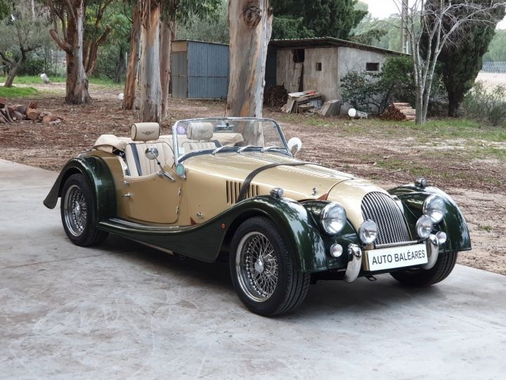 Morgan Roadster ROADSTER  3.7 L V6 BICOLORE VERT ET OR - 6