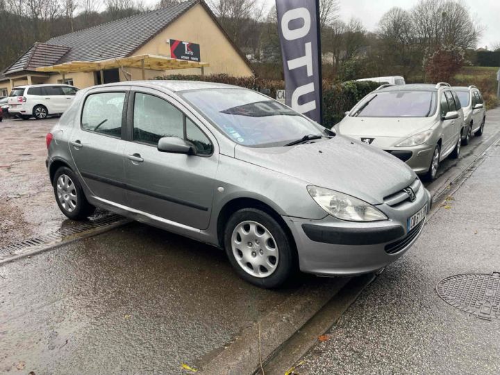 Peugeot 307 2.0 HDi 90CV Gris Laqué - 3