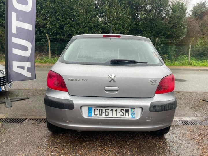 Peugeot 307 2.0 HDi 90CV Gris Laqué - 12