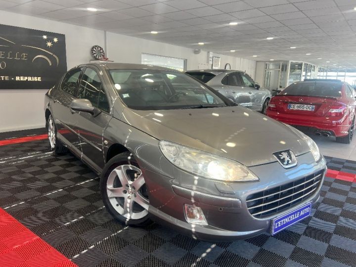 Peugeot 407 2.0 HDi 16V 140ch FAP Féline Grise - 4