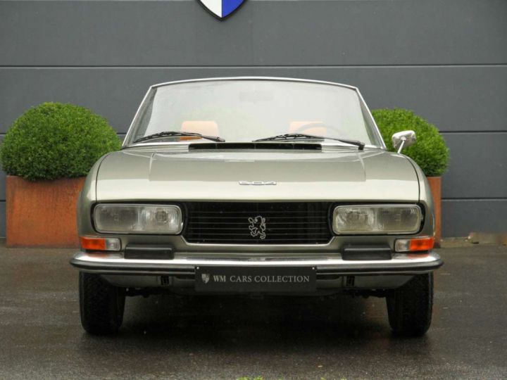 Peugeot 504 V6 2.7 Cabriolet Perfect Condition Vert Métallisé - 7