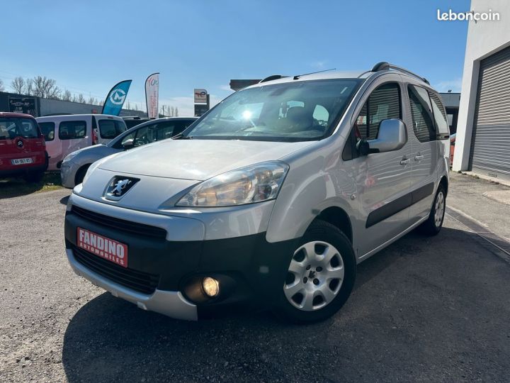 Peugeot Partner Tepee 1.6 Hdi 75Ch Confort Gris - 4