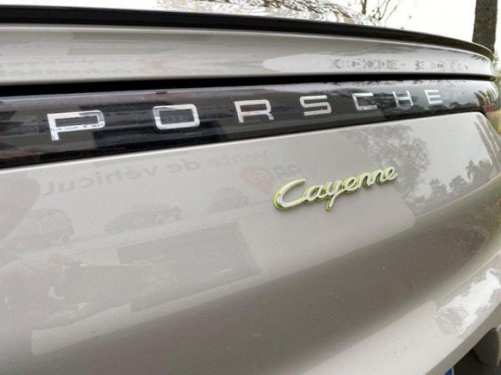 Porsche Cayenne COUPE 3.0 V6 E HYBRID 462CV     HYBRID CRAIE - 42