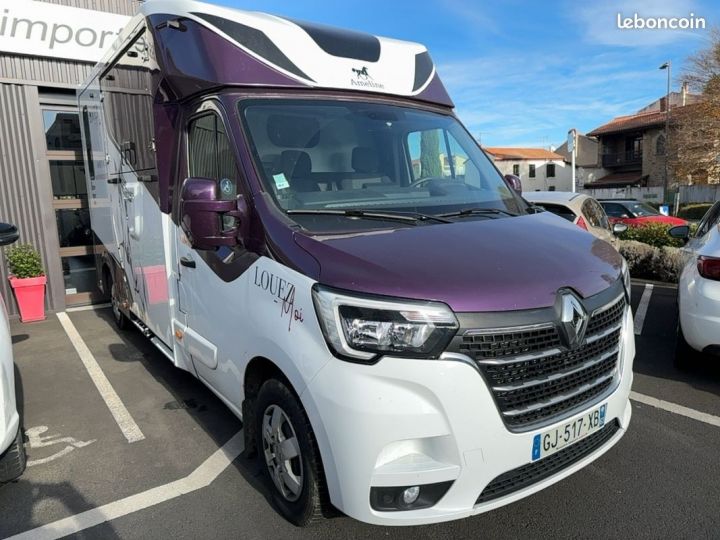 Renault Master (3) L3 165ch AMS HARAS CAMION CHEVAUX Blanc - 3