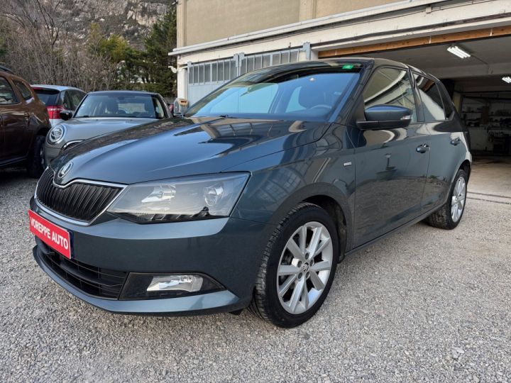 Skoda Fabia 1.0 TSI 95CH CLEVER/ CRITAIR 1 / CREDIT / DISTRIBUTION NEUVE/ Gris F - 1