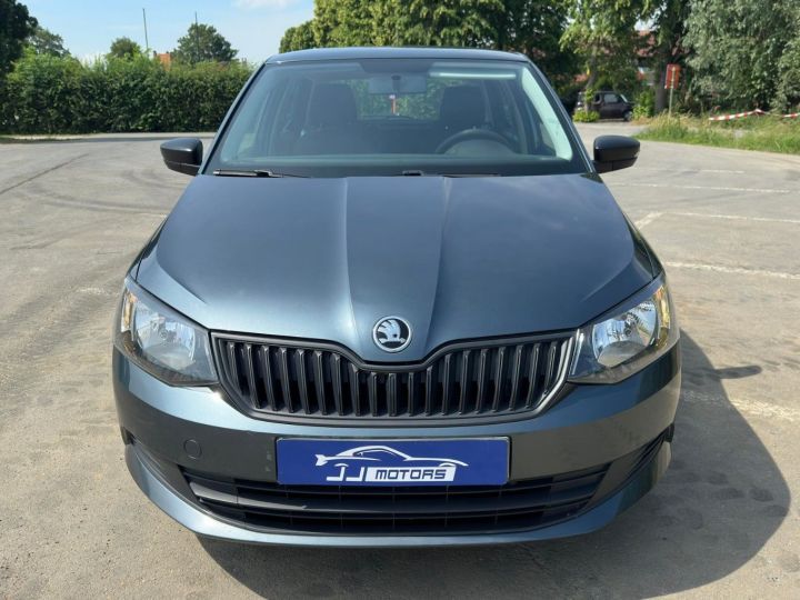 Skoda Fabia Gris - 2