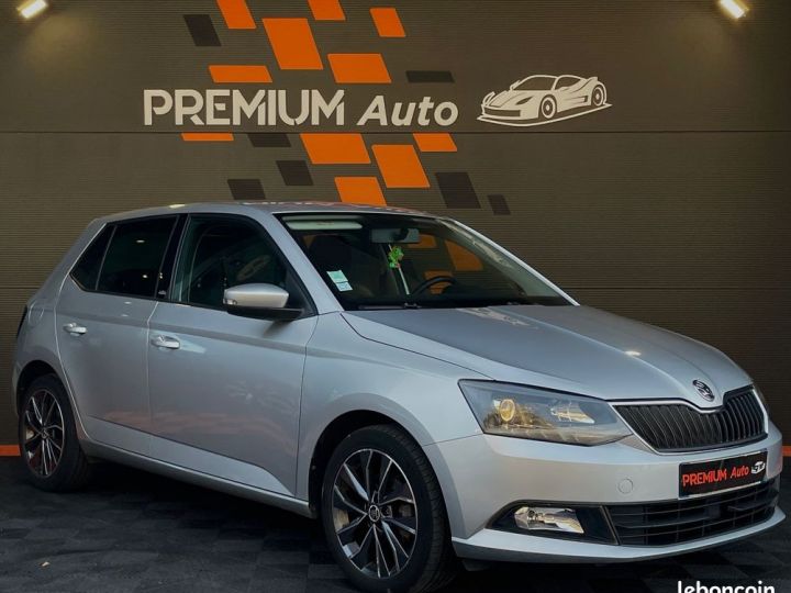 Skoda Fabia Tsi 90 Cv Edition GreenTec Régulateur Climatisation 5 Portes Ct Ok 2026 Gris - 2