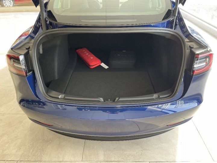 Tesla Model 3 Autonomie Standard Plus RWD Bleu - 8